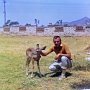 Baby kudu